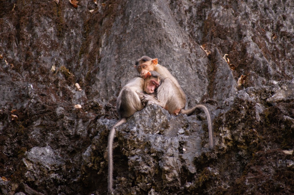 Wrapped in warmth, where words don’t&nbsp;exist