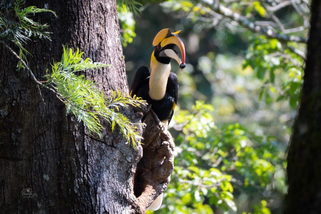 Waited. Watched it. Worth&nbsp;it.